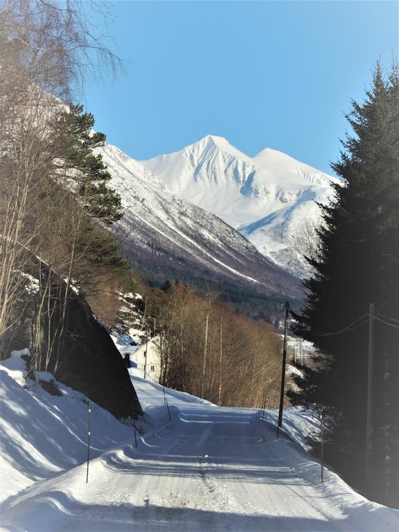Tindelykke Villa Isfjorden Luaran gambar